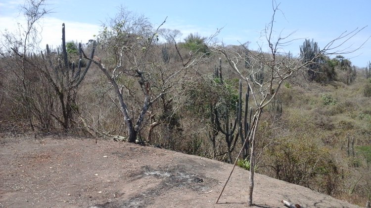 Puerto Cayo,Ecuador